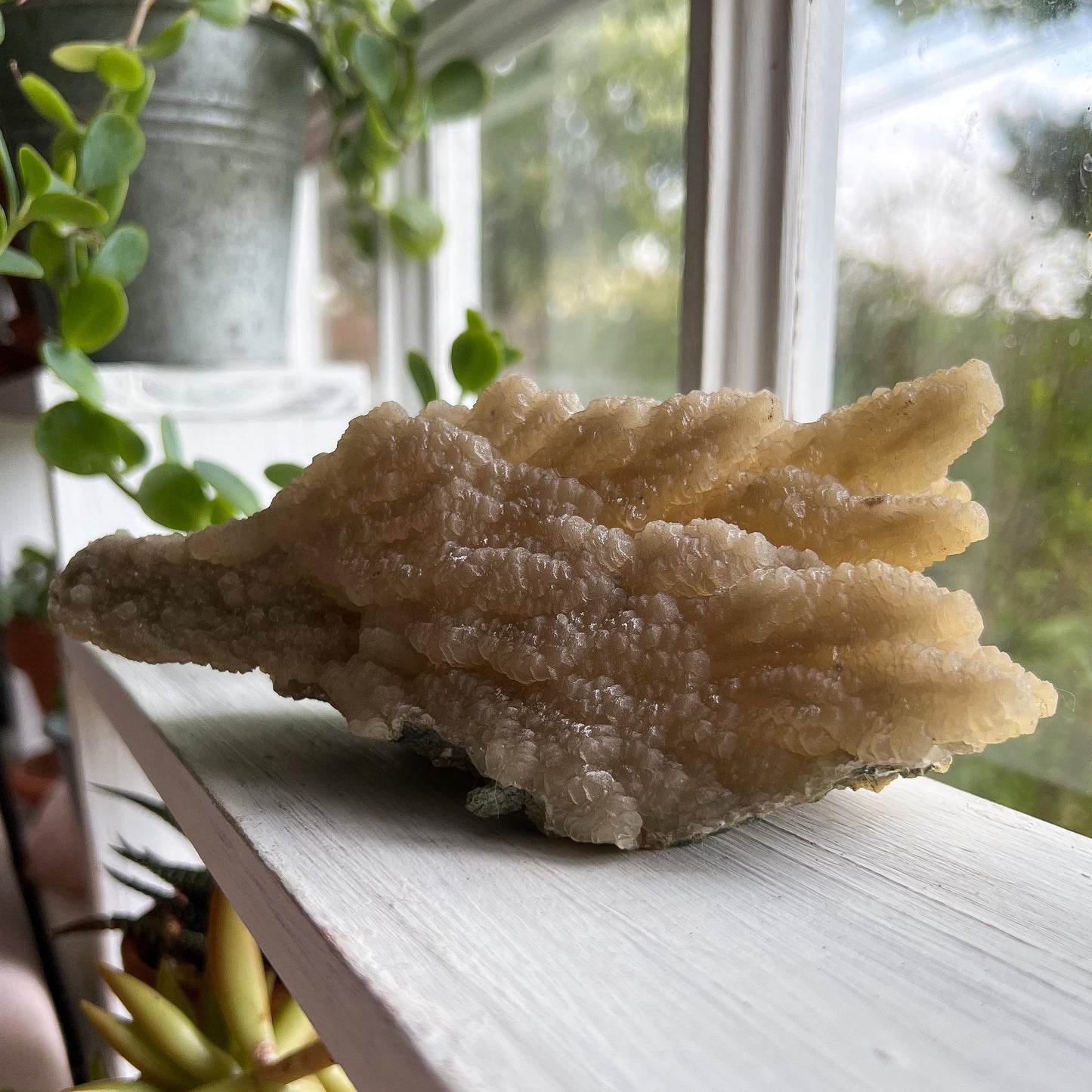 Feather Leaf Calcite Specimen