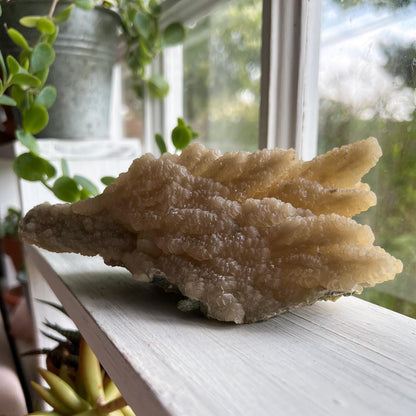 Feather Leaf Calcite Specimen