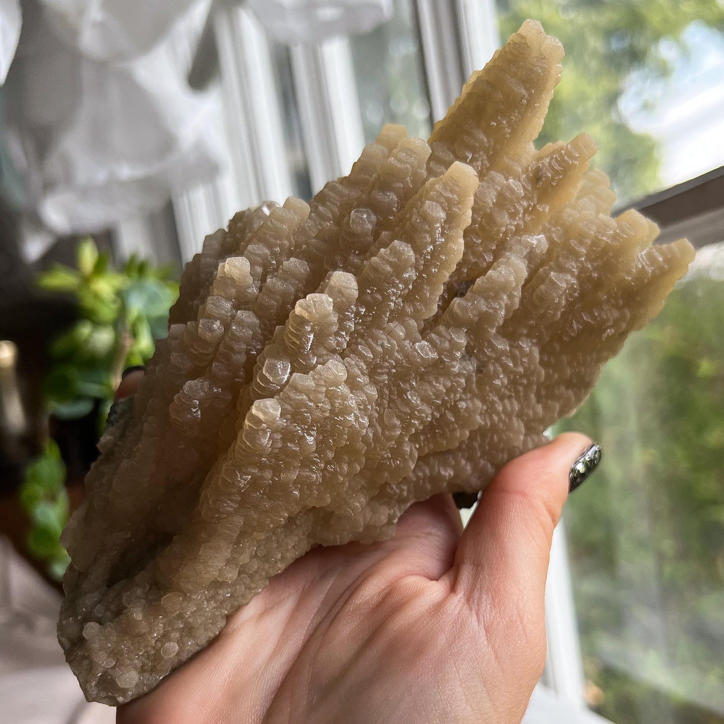 Feather Leaf Calcite Specimen