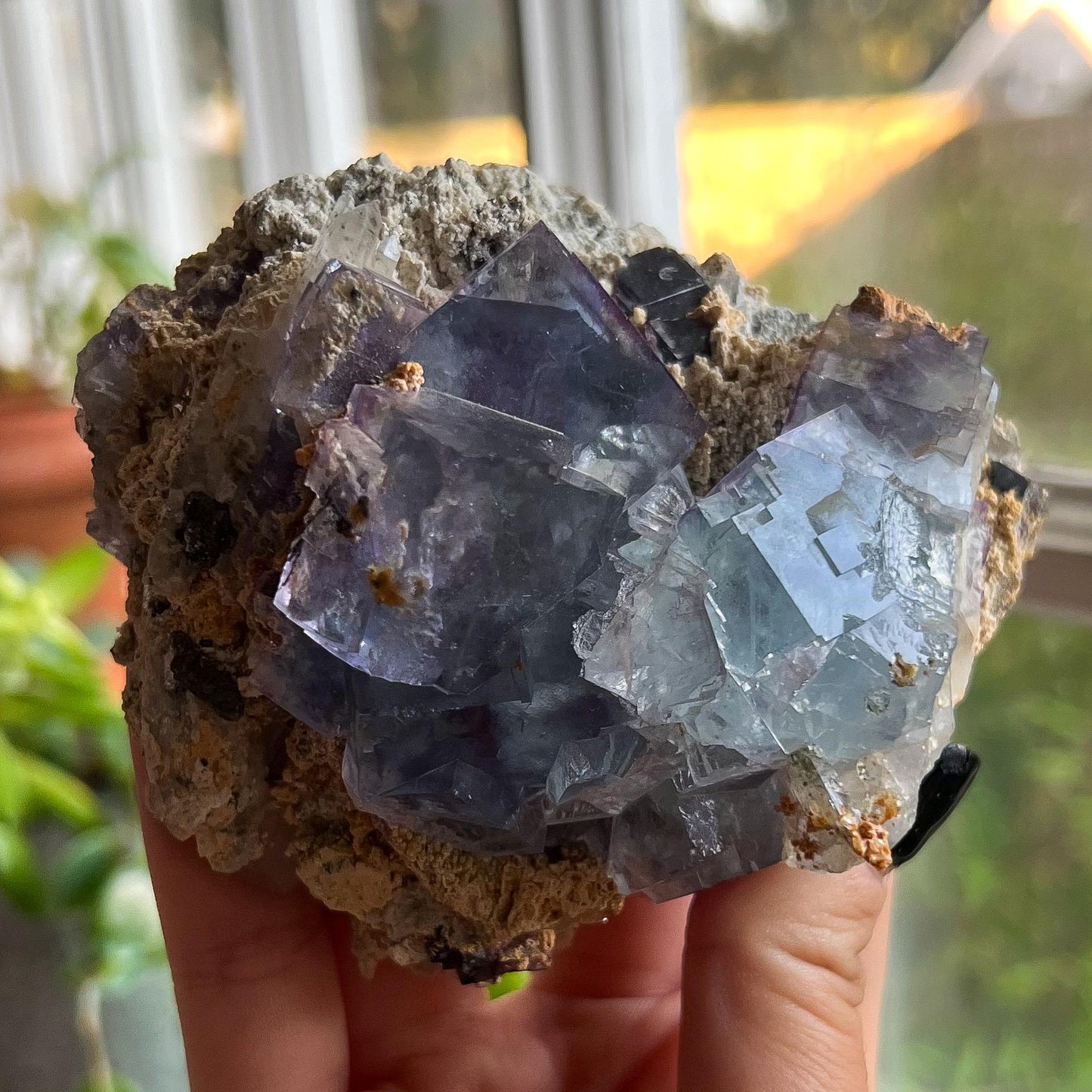 Blue Purple Glassy Fluorite
