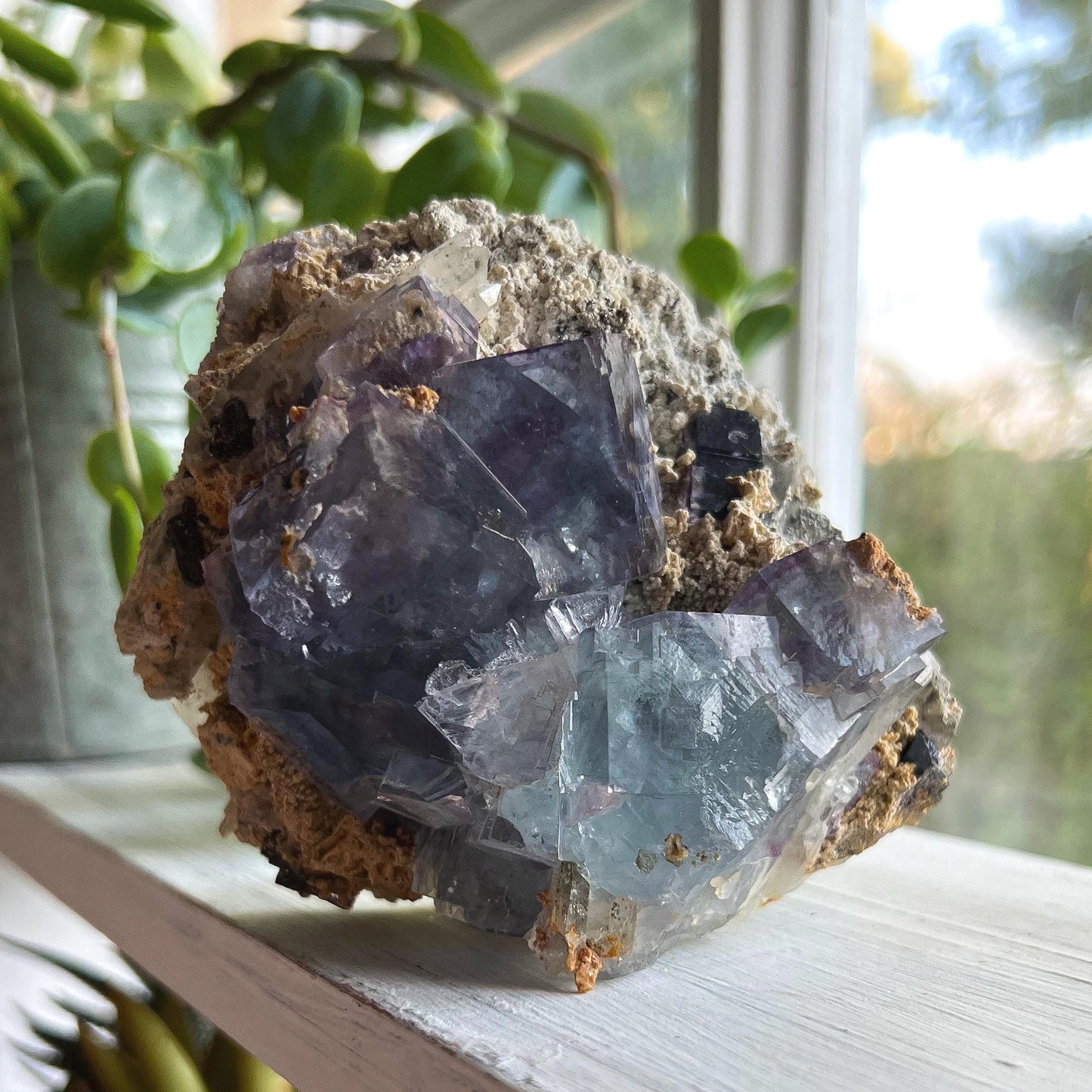 Blue Purple Glassy Fluorite