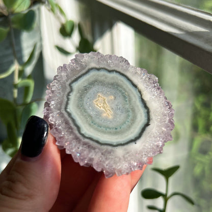 Amethyst Stalactite Slice