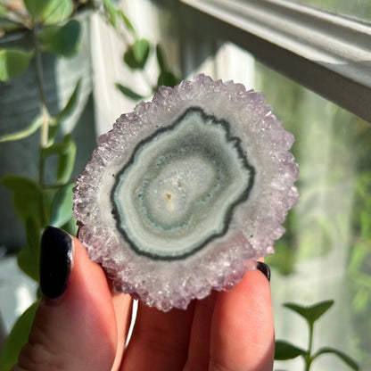 Amethyst Stalactite Slice
