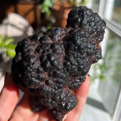 Botryoidal Hematite