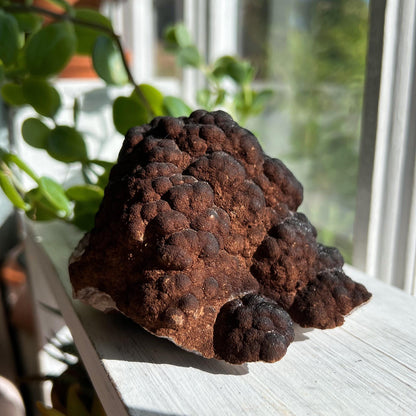 Botryoidal Hematite