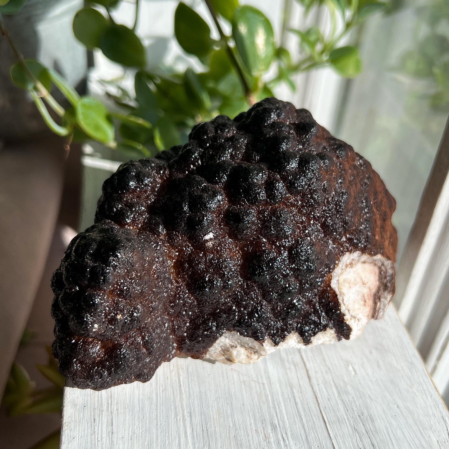 Botryoidal Hematite