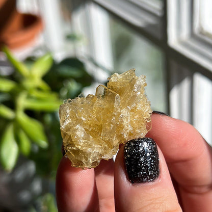 Golden Barite Clusters