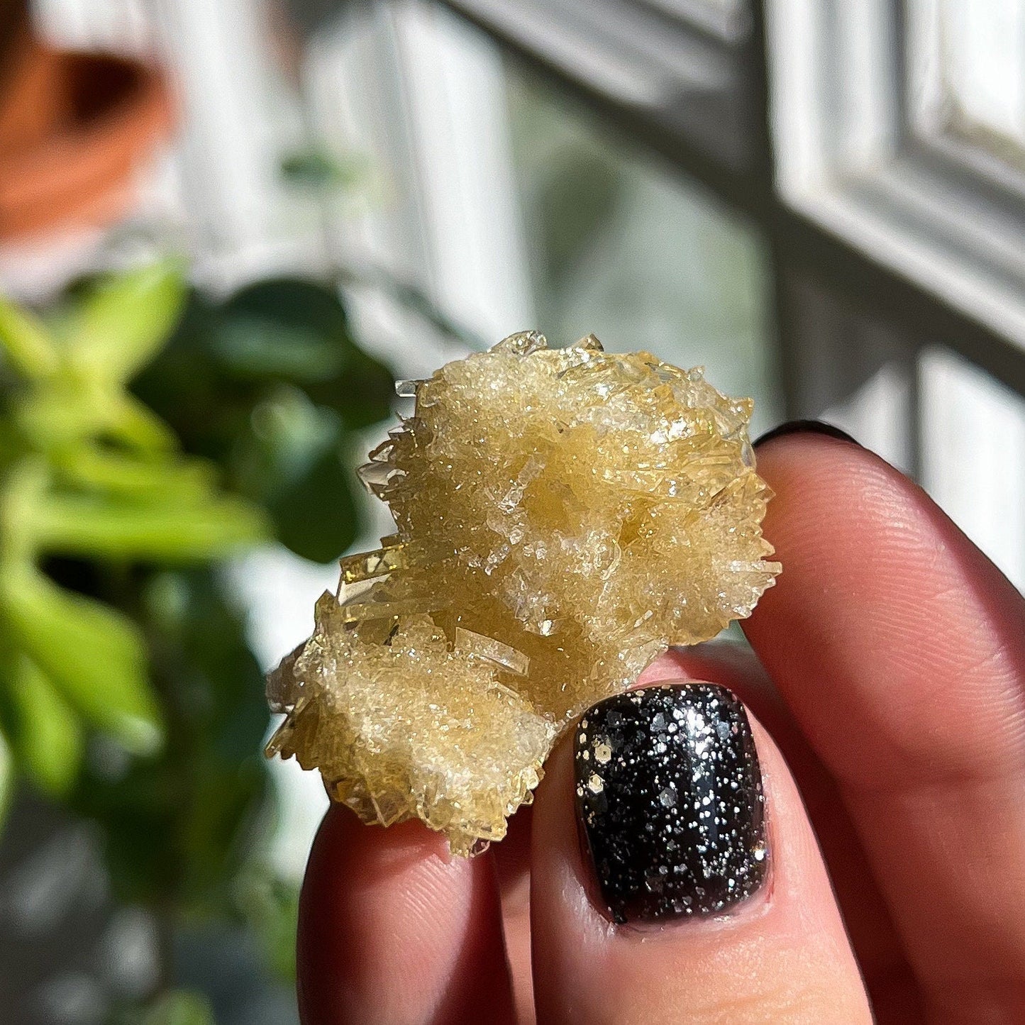 Golden Barite Clusters