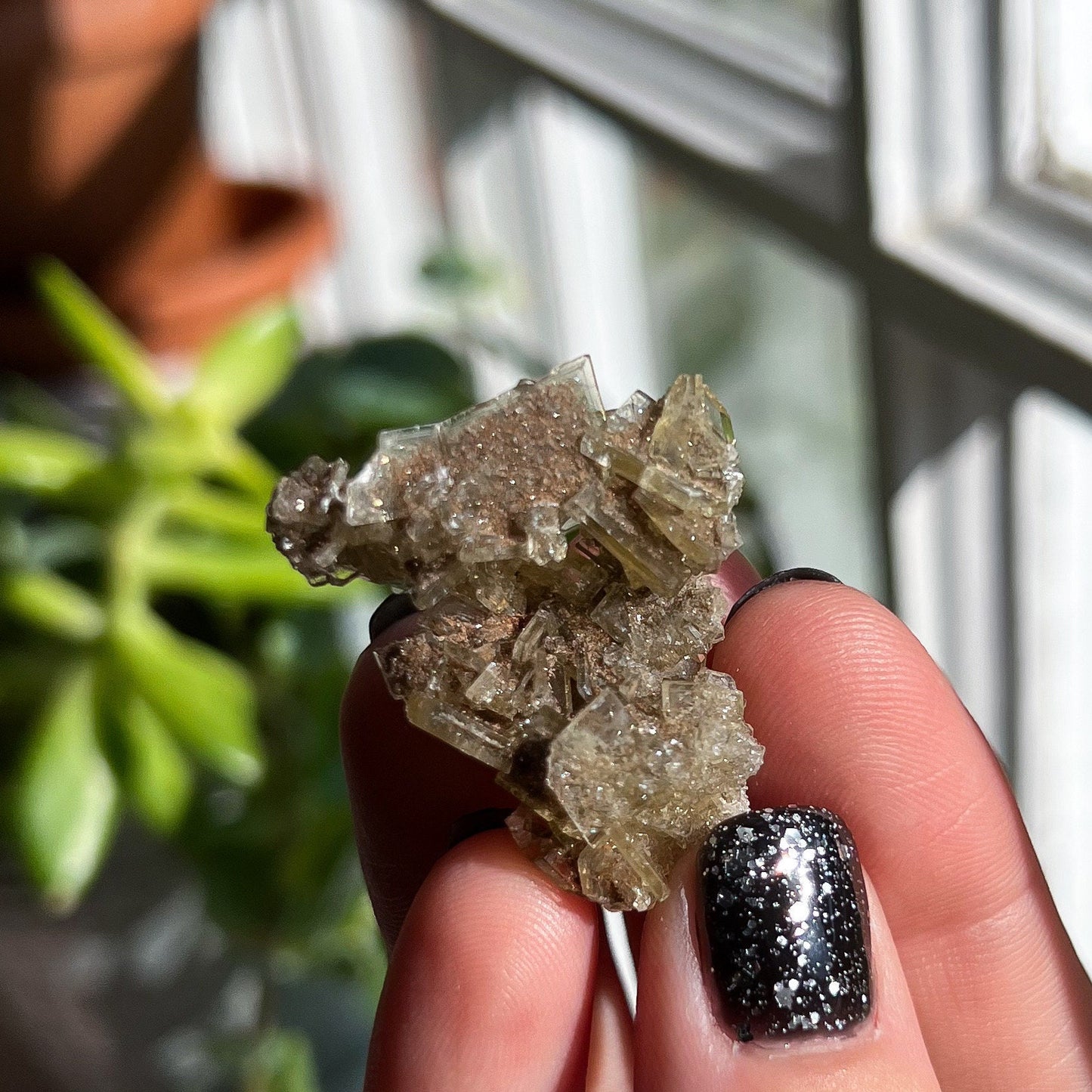 Golden Barite Clusters