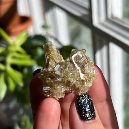 Golden Barite Clusters