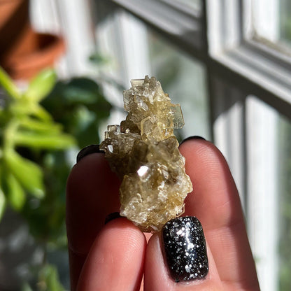 Golden Barite Clusters