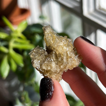 Golden Barite Clusters