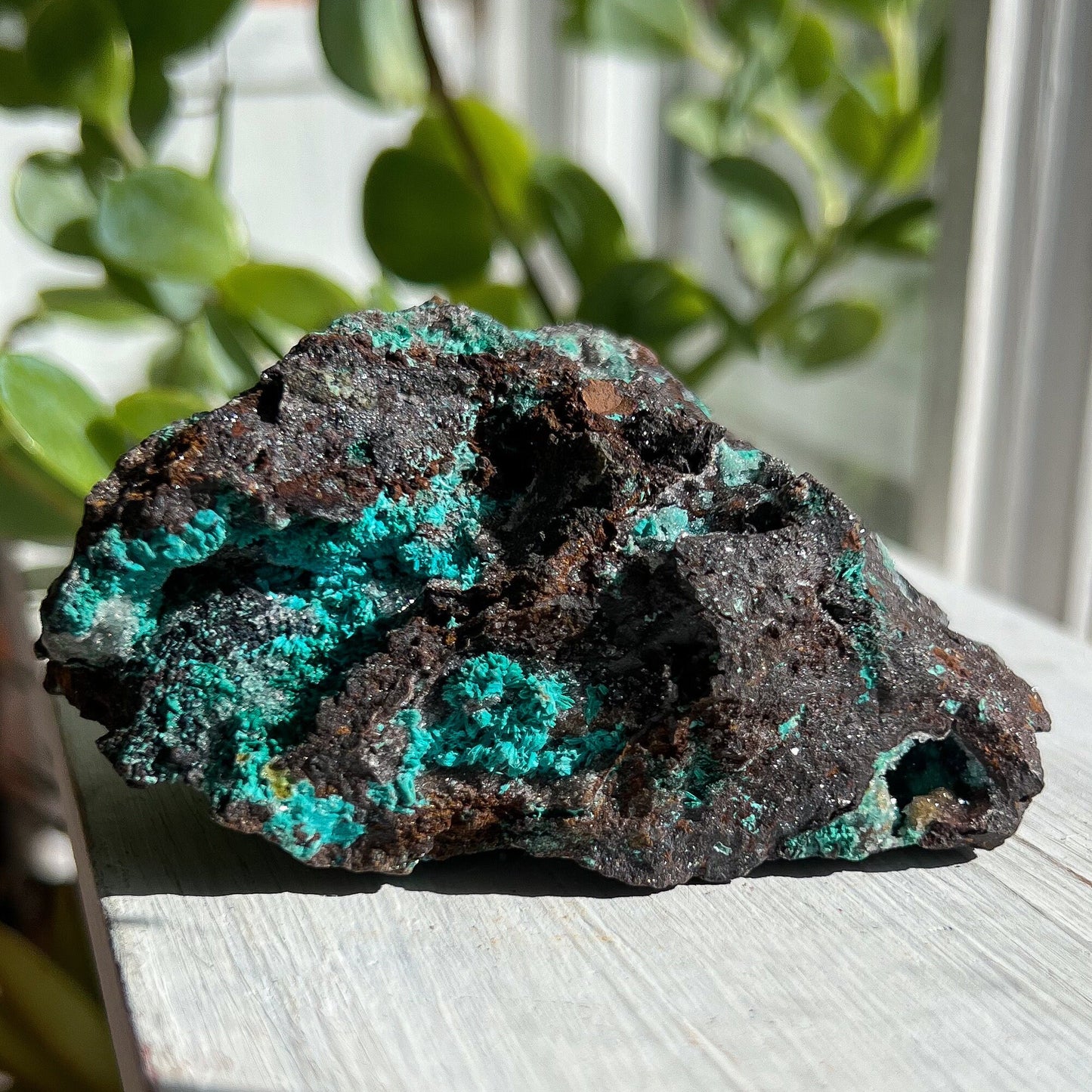 Druzy Chrysocolla Malachite