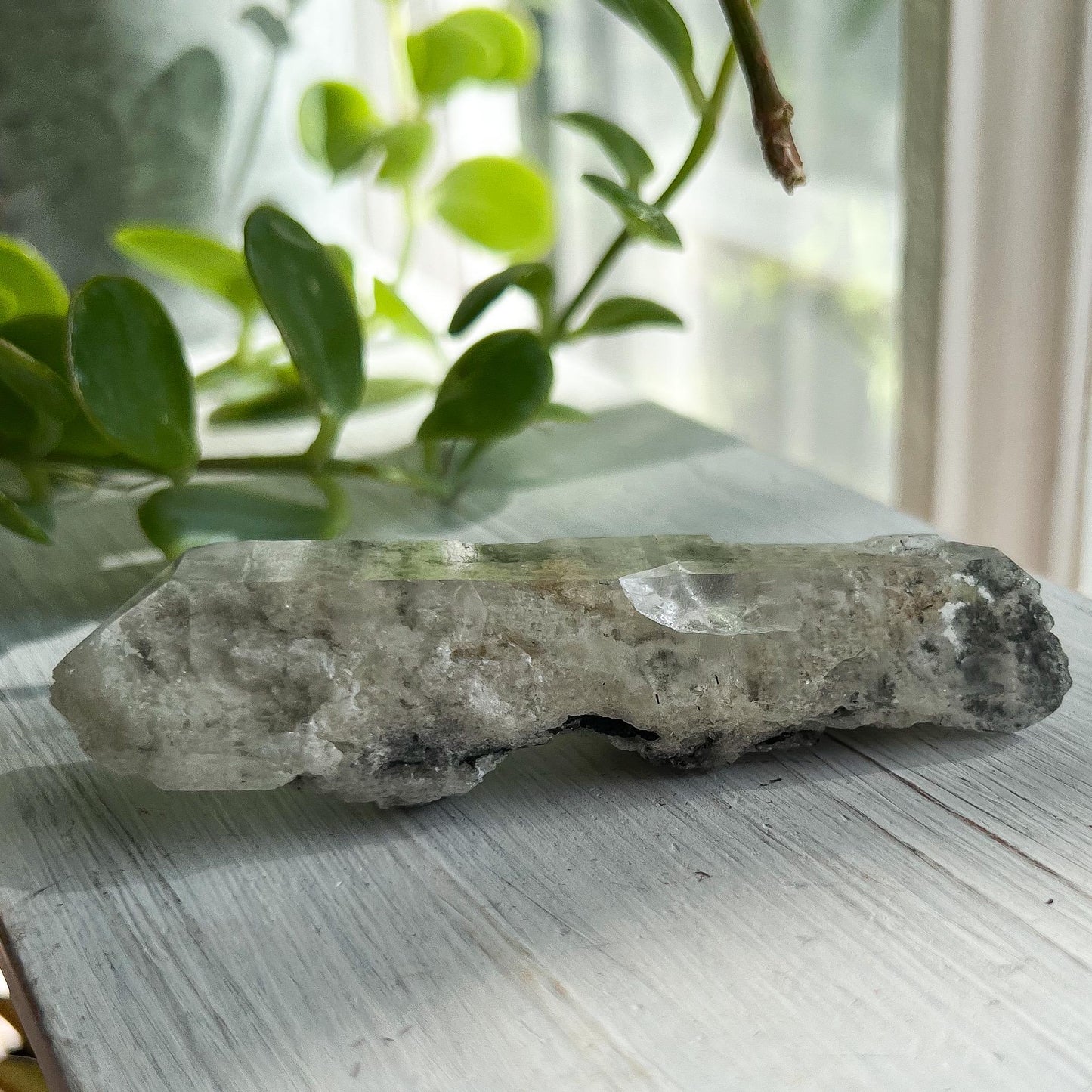 Corinto Garden Quartz Crystal, with Tourmaline Hairs