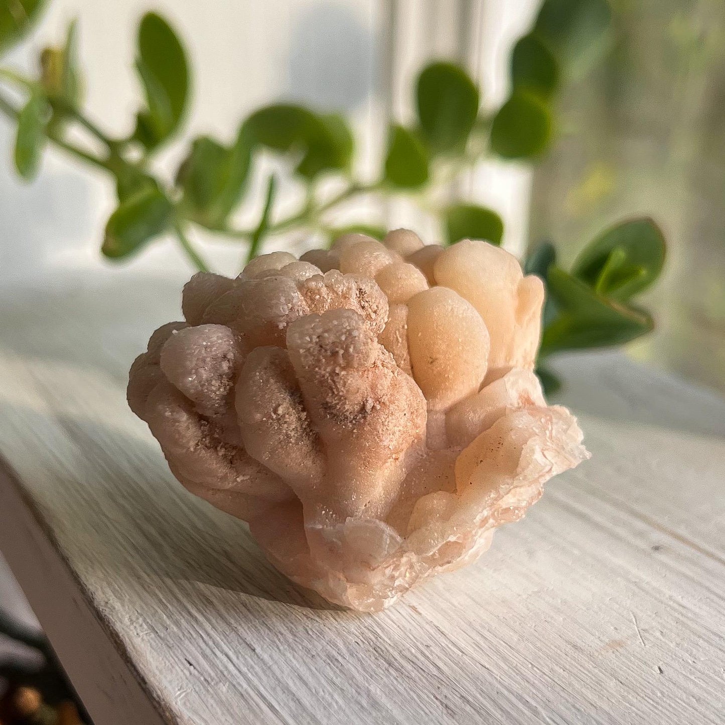 Botryoidal Aragonite Specimen