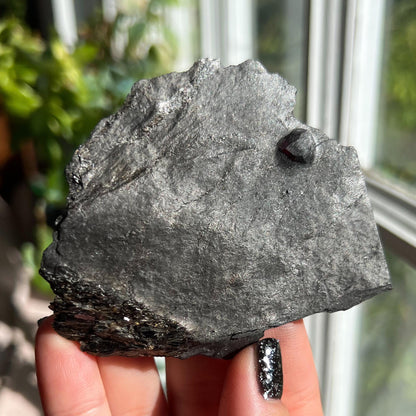 Large Garnet in Graphite