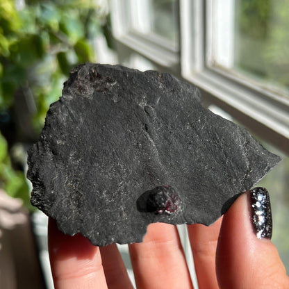 Large Garnet in Graphite