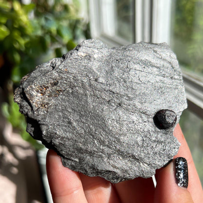 Large Garnet in Graphite