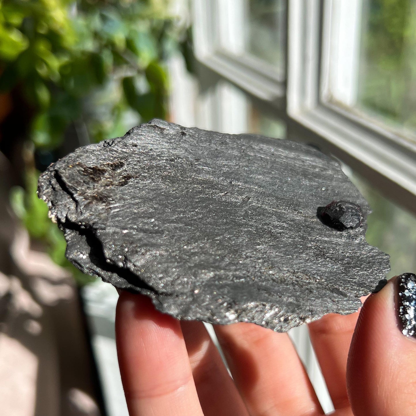 Large Garnet in Graphite