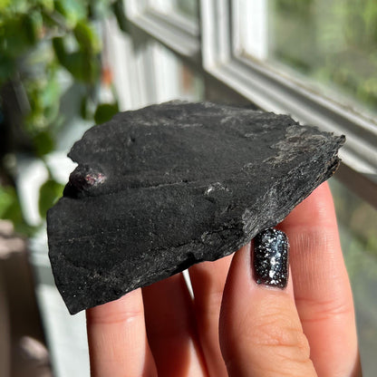 Large Garnet in Graphite