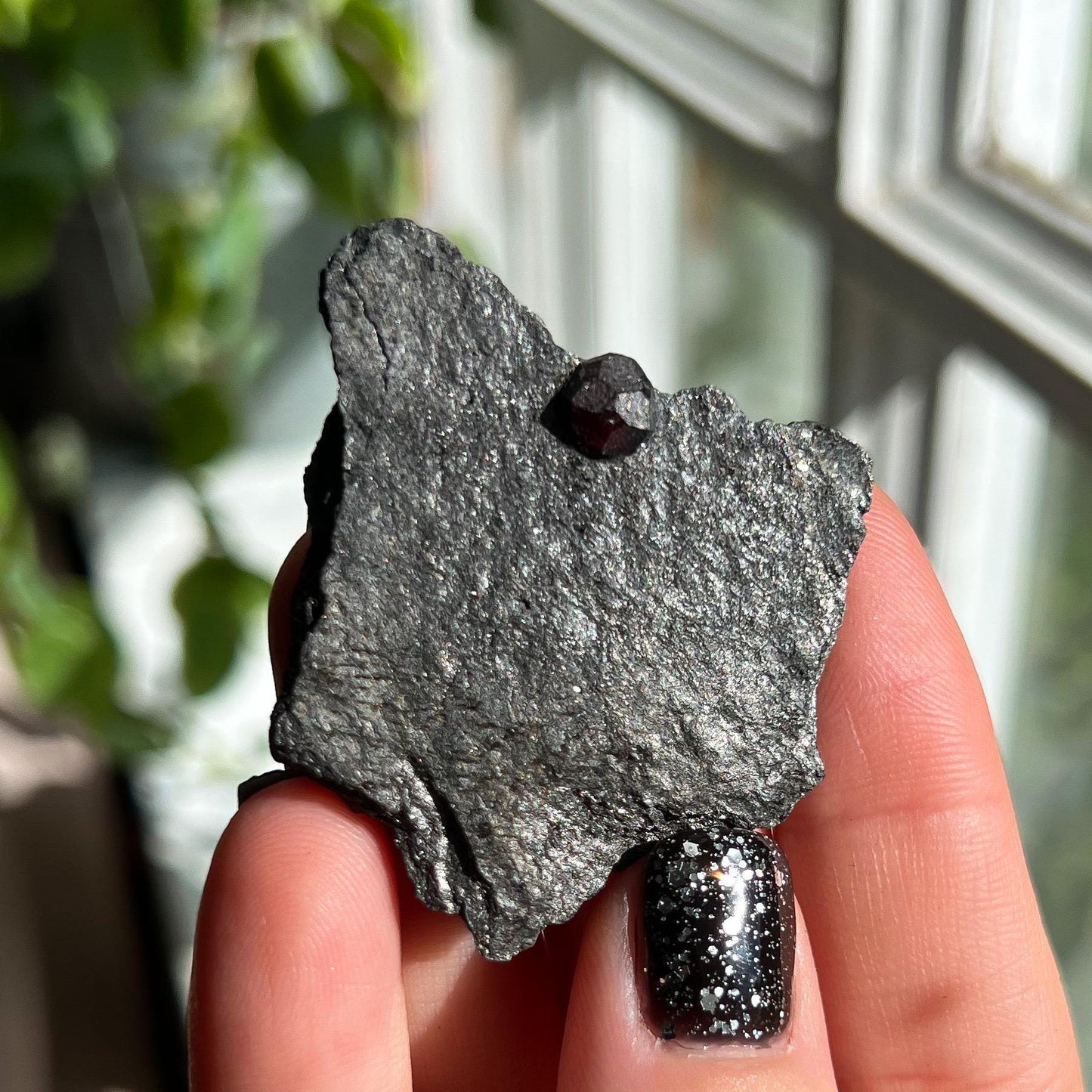 Small Garnet in Graphite