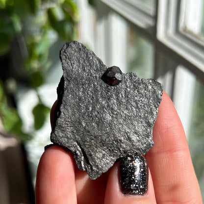 Small Garnet in Graphite