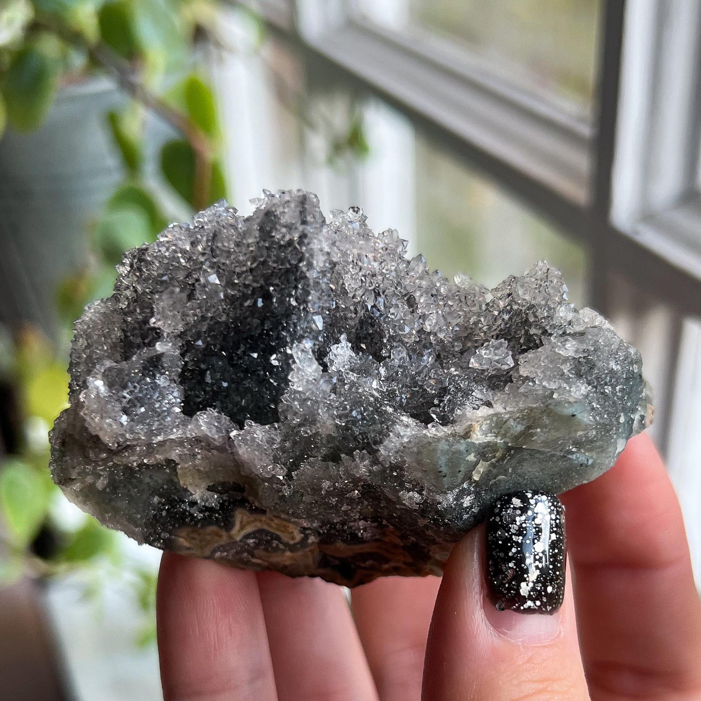 Gray Stalactite Formation
