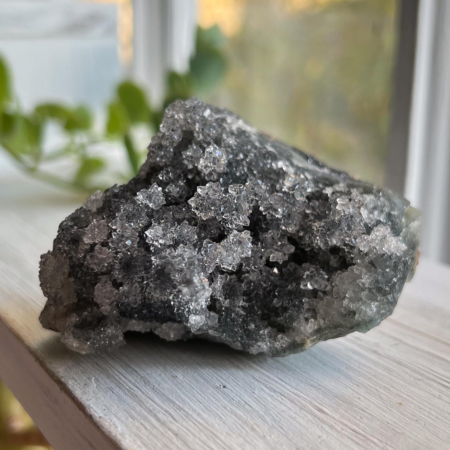 Gray Stalactite Formation