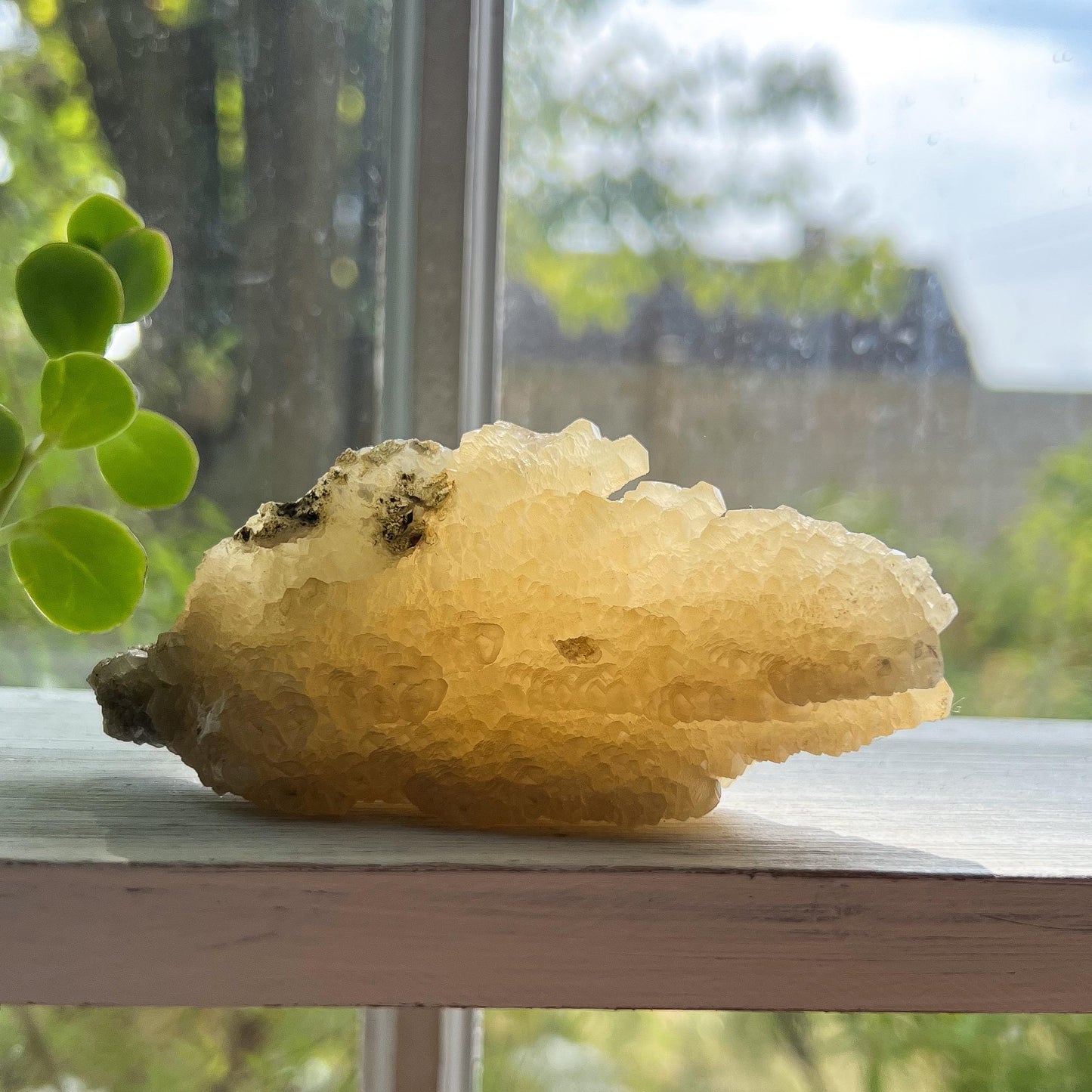 Feather Leaf Calcite Specimen