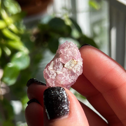 Crystallized Rose Quartz Cluster
