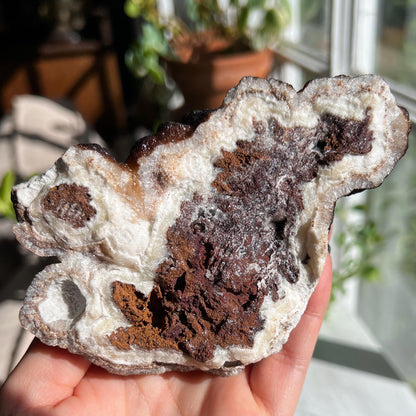 Botryoidal Hematite