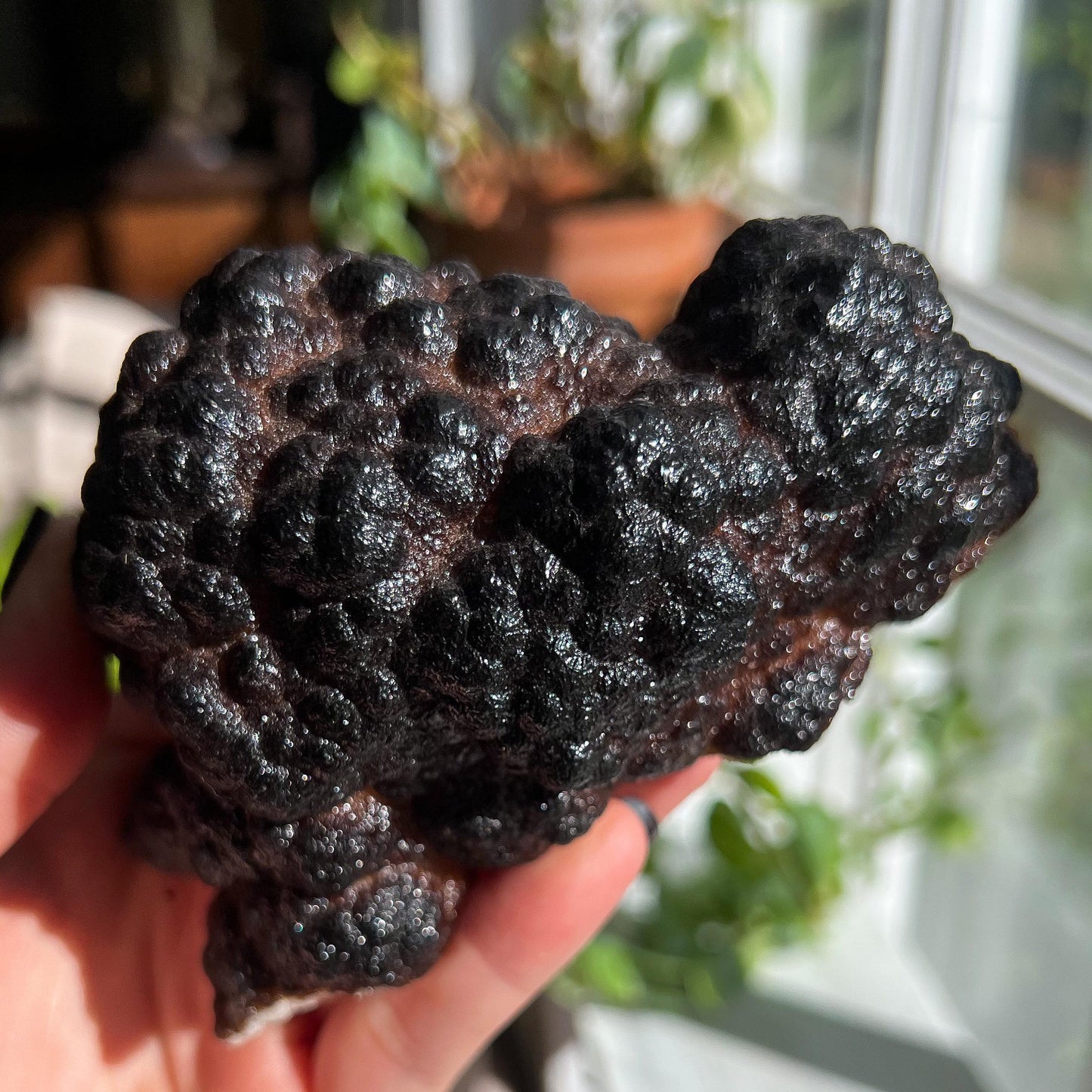 Botryoidal Hematite
