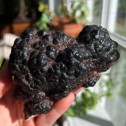 Botryoidal Hematite
