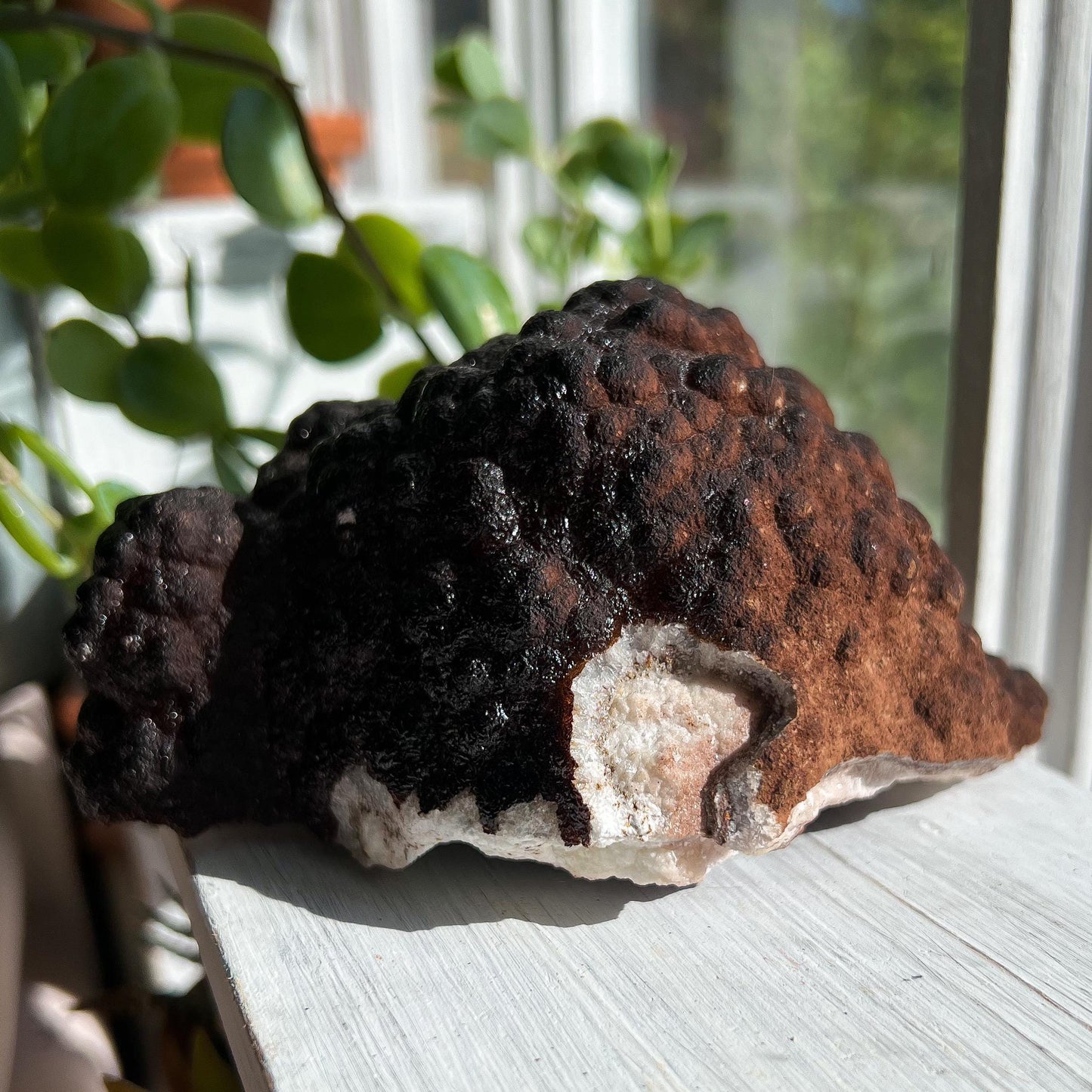Botryoidal Hematite