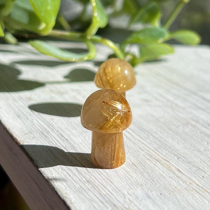 Gold Rutilated Quartz Mushroom