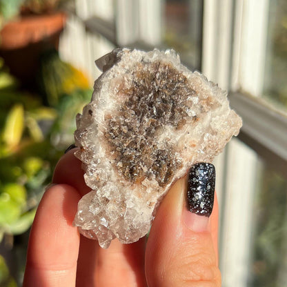Dogtooth Calcite Cluster