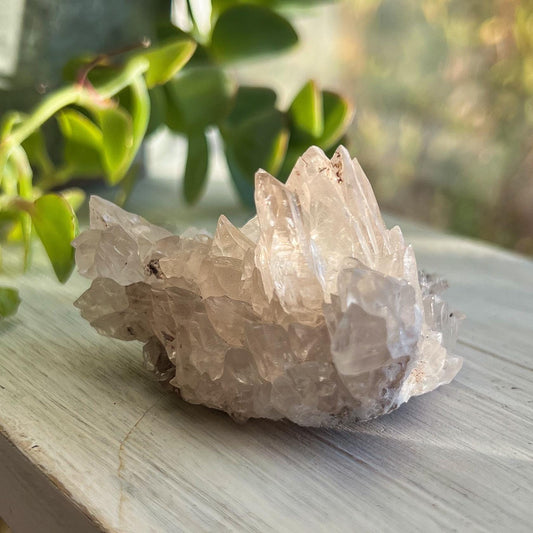 Dogtooth Calcite Cluster