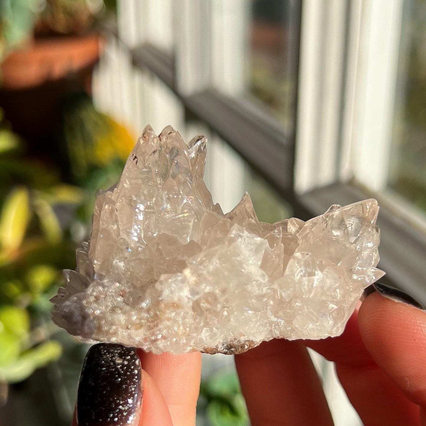 Dogtooth Calcite Cluster