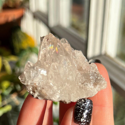 Dogtooth Calcite Cluster