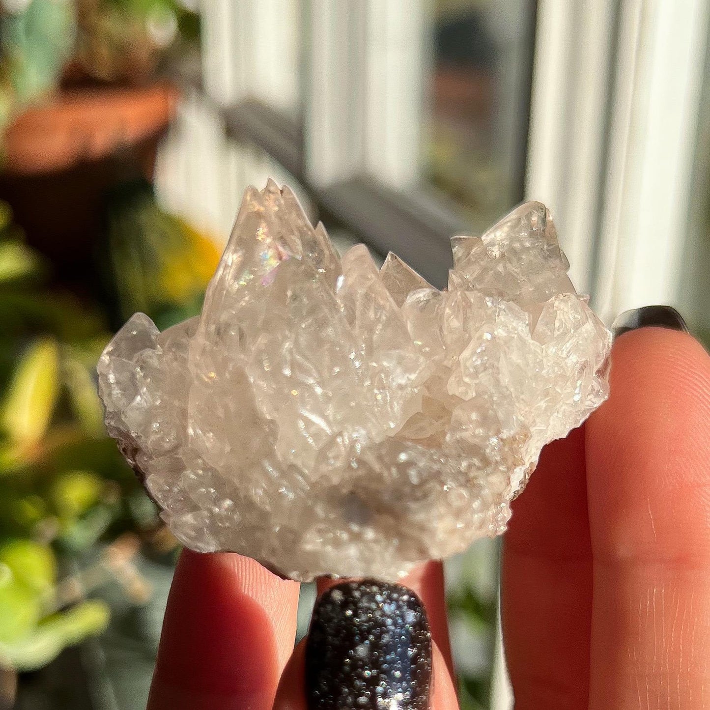 Dogtooth Calcite Cluster