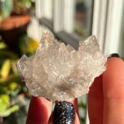 Dogtooth Calcite Cluster