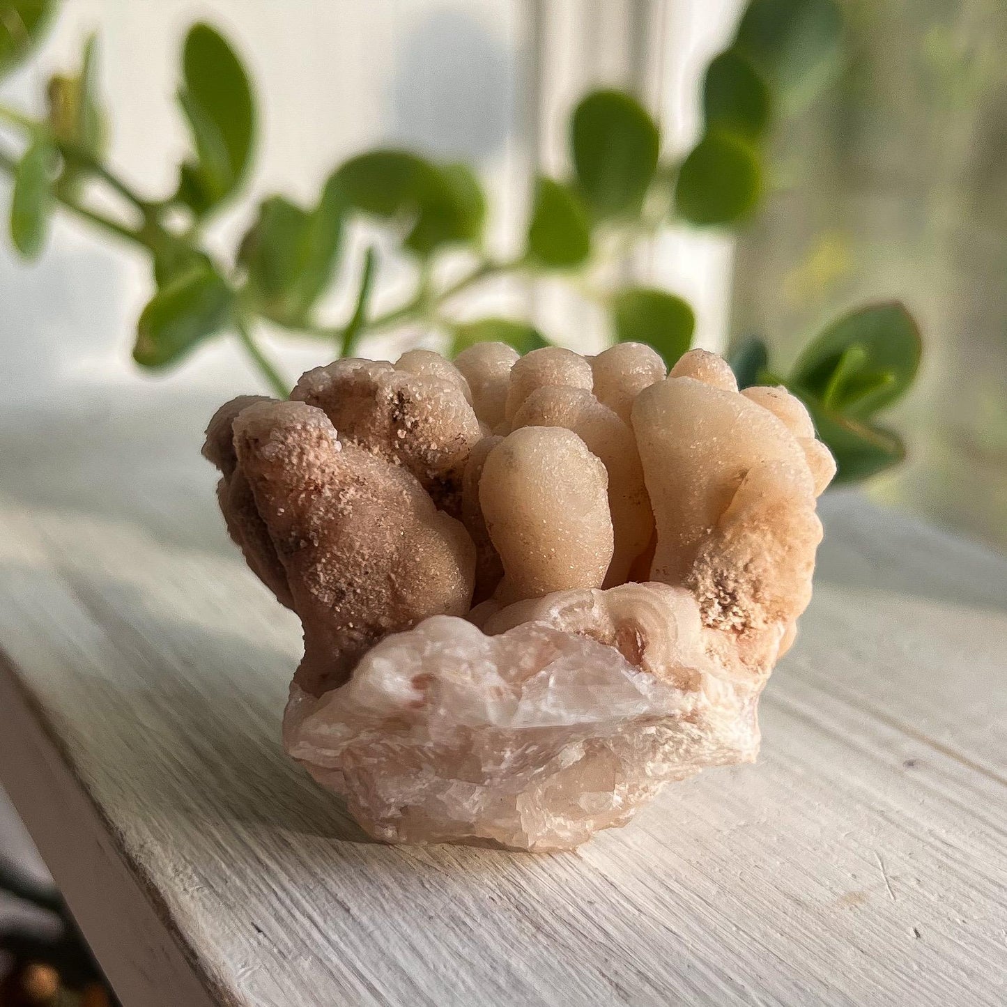 Botryoidal Aragonite Specimen
