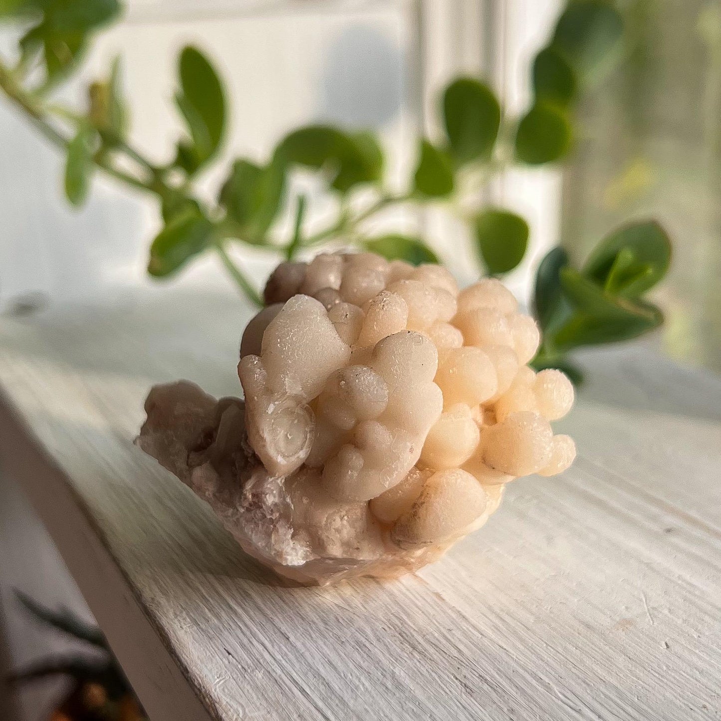 Botryoidal Aragonite Specimen
