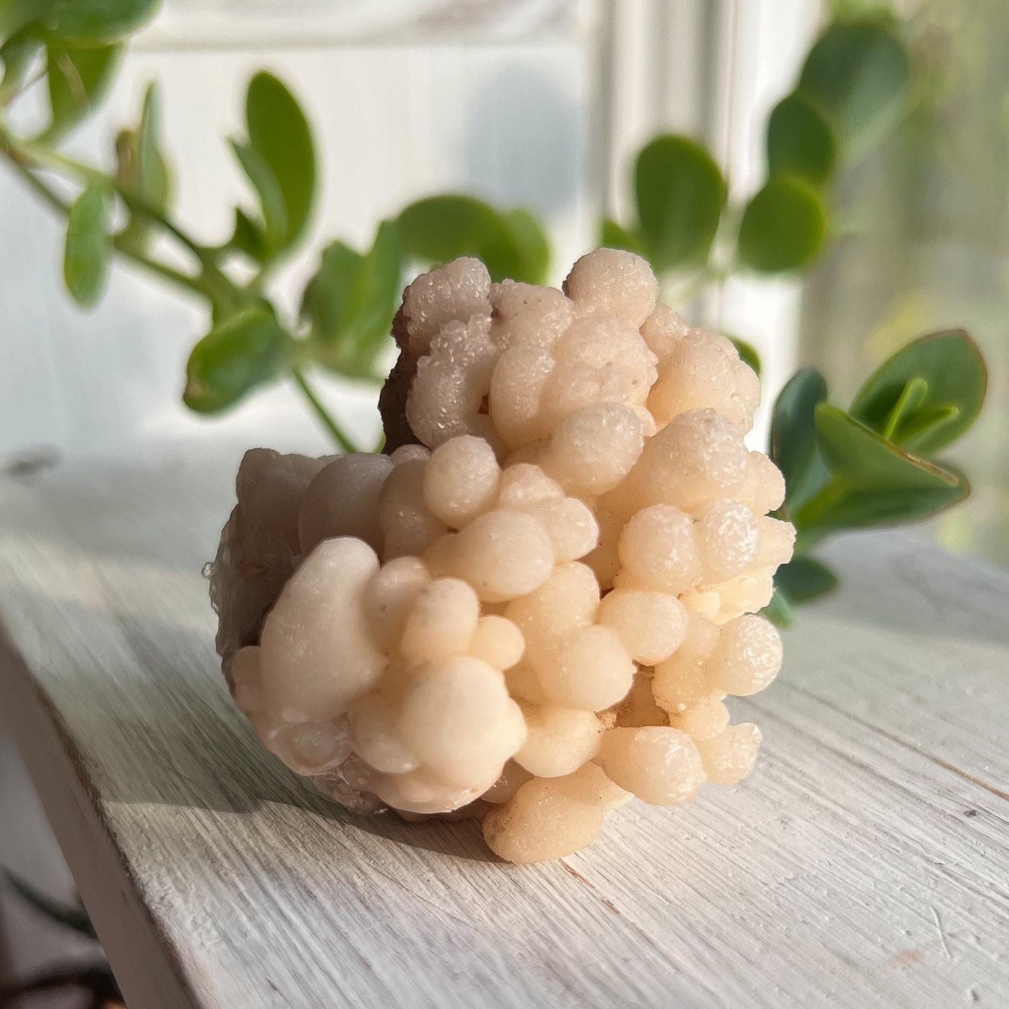 Botryoidal Aragonite Specimen