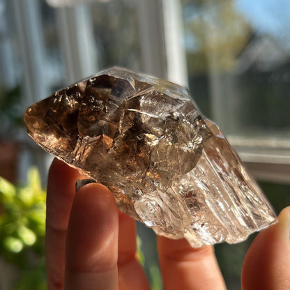 Smoky Quartz Sceptor