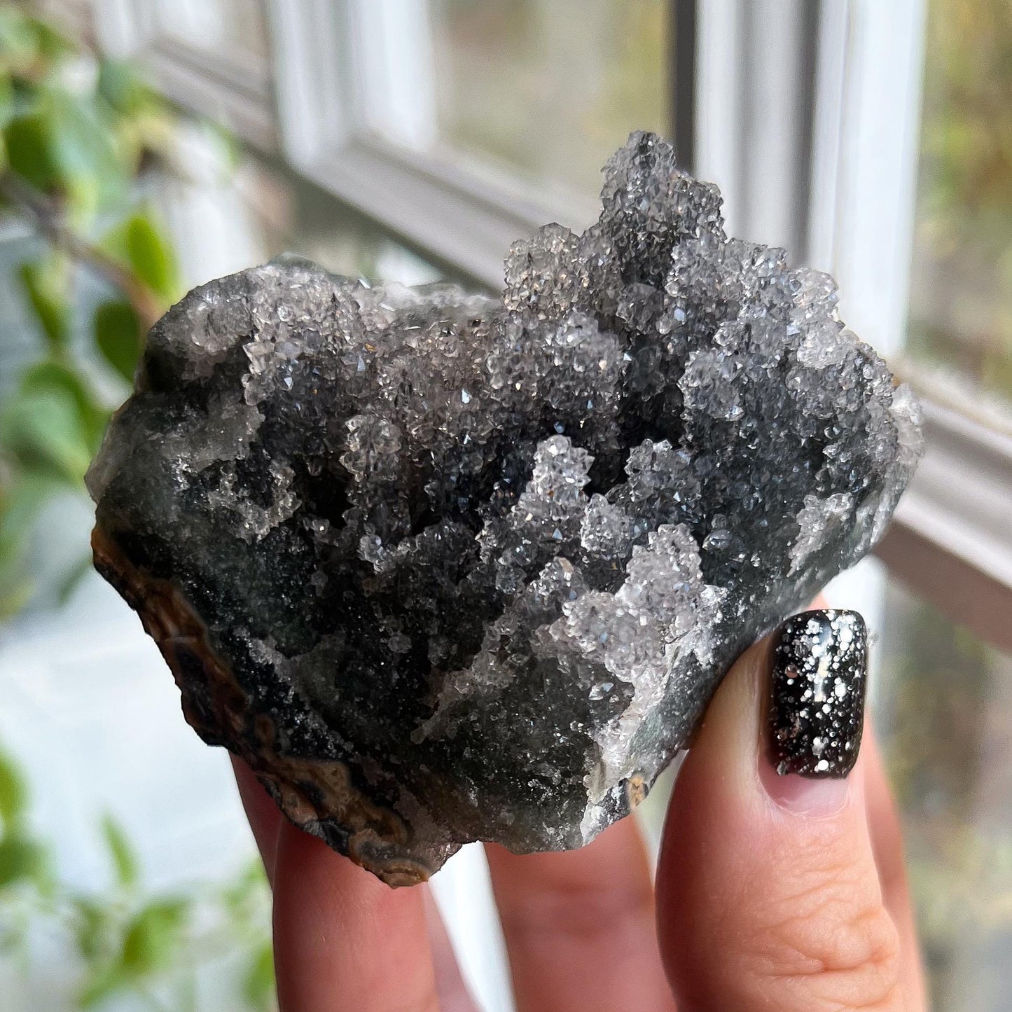 Gray Stalactite Formation