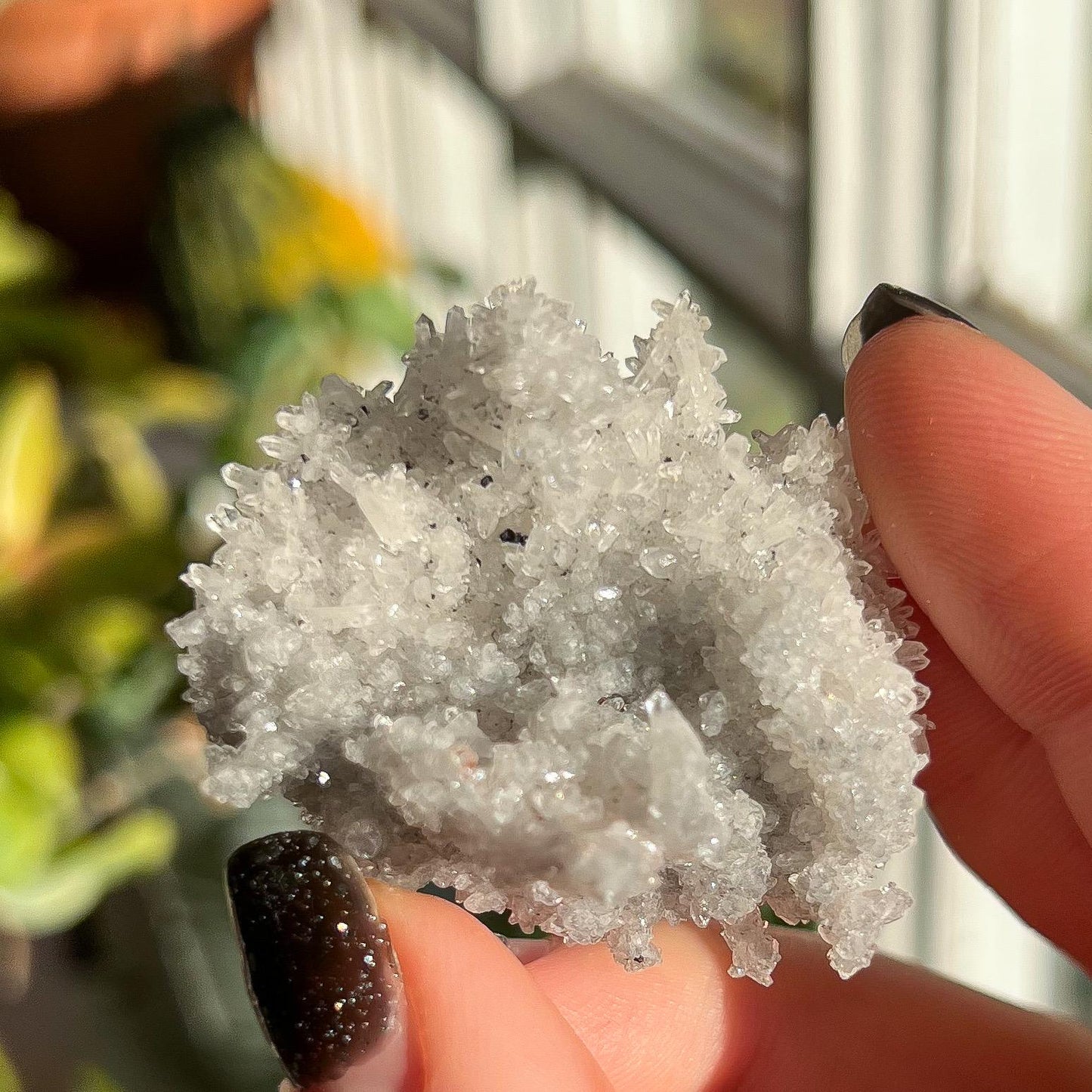 Quartz Cluster Specimen