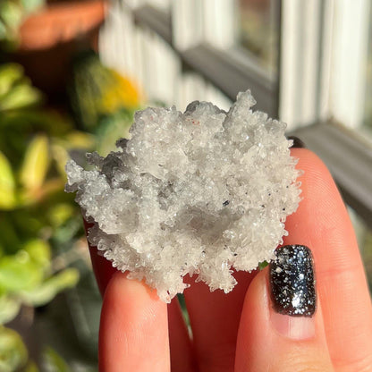 Quartz Cluster Specimen