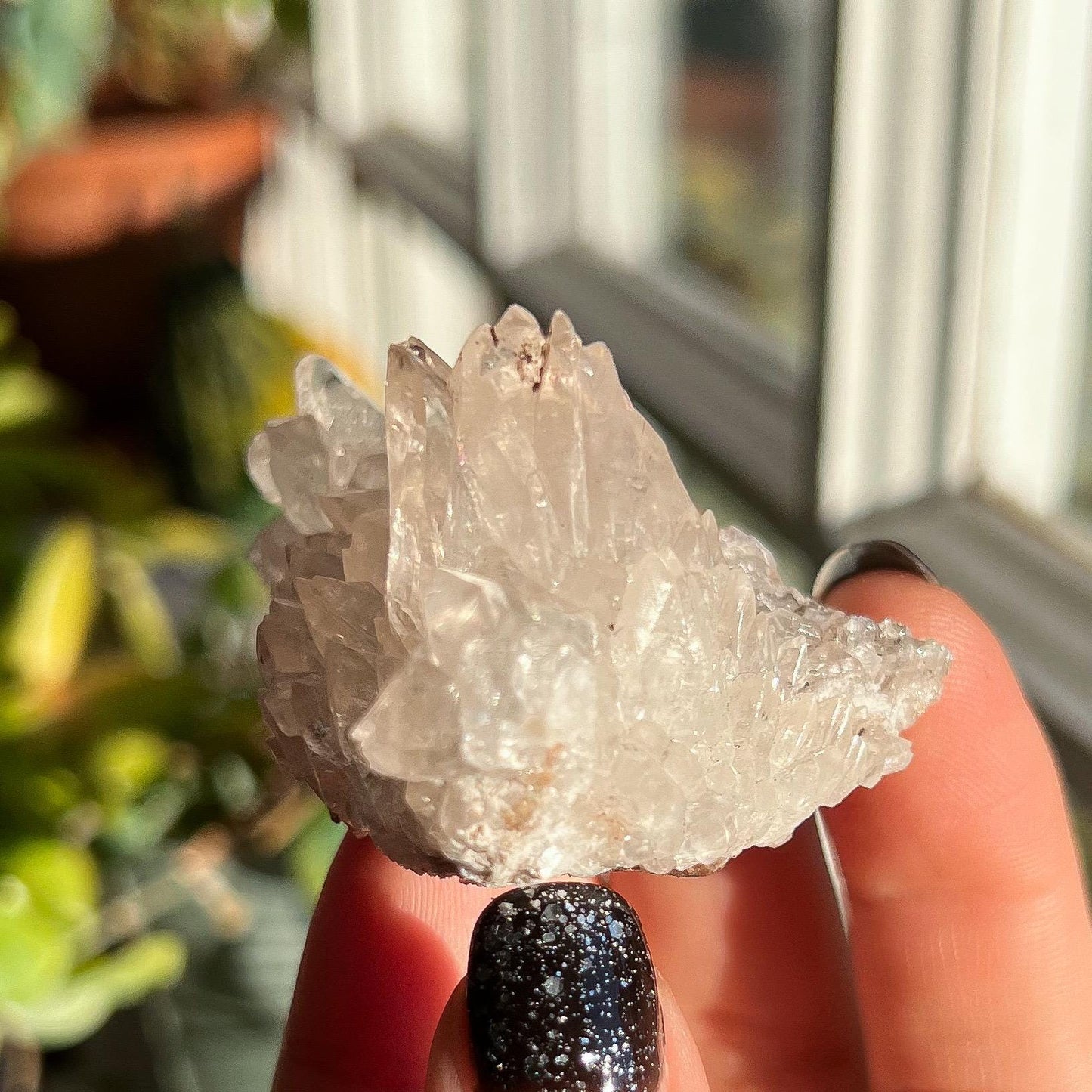 Dogtooth Calcite Cluster