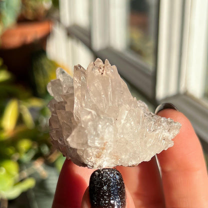 Dogtooth Calcite Cluster